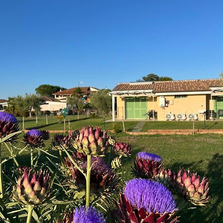 Il Giardino Di Nunzia Vila Principina Terra Exterior foto