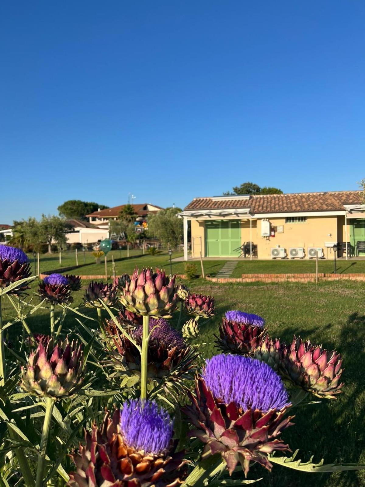 Il Giardino Di Nunzia Vila Principina Terra Exterior foto